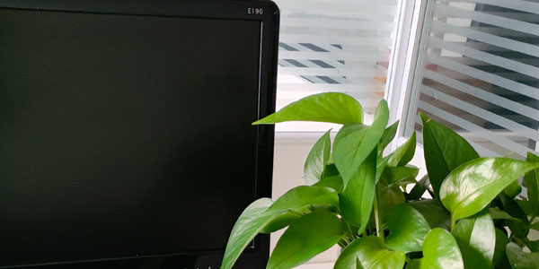 网站制作、网络推广、网站建设、快速做网站、做网站多少钱？网络公司哪家好？ 建站平台、专业的建站团队、搭建自己平台、官网定制、专业网站托管、网站维护 、网站设计 、做网站 、中小企业品牌网站定制、 手机网站开发、营销型网站制作网站建设，品牌网站建设公司，专业从事网站建设，企业营销型网站建设，网站制作，网站改版，手机 网站制作，微站建设，网站优化，网站推广网络公司，专业技术团队竭力真诚服务!.jpg